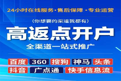 SEM外包策略在电商平台的成功案例